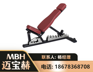 杭州可调哑铃椅